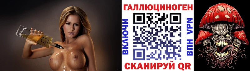mega ТОР  shop телеграм  Псилоцибиновые грибы GOLDEN TEACHER  Магас 